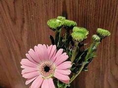 -半秋山西餐厅(巴南万达广场店)