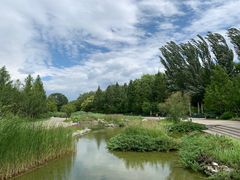 -大望京公园