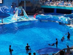-海合安成都极地海洋公园