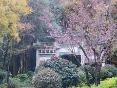 -蝴蝶泉公园