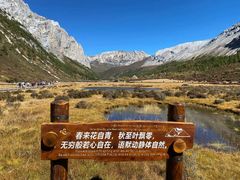 -稻城亚丁景区-冲古草甸