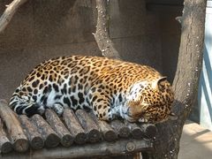 -西安秦岭野生动物园