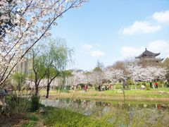 -堤角公园