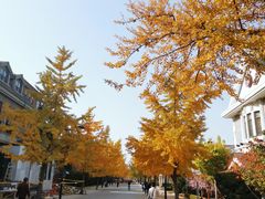 -日本风情街