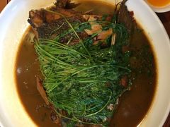 -长兴岛郊野公园农场食堂