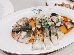 大海鲈鱼家常烧-醉胶东(友谊店)