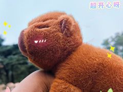 -红山森林动物园
