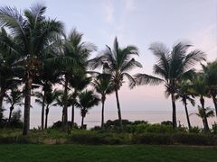 -三亚海棠湾喜来登度假酒店