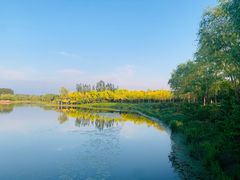 -东郊湿地公园