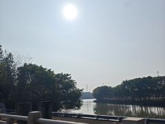 -海珠湖公园