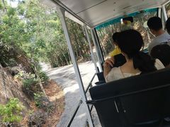 -汕尾铜鼎山旅游区