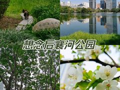 -后襄河公园