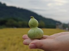 -风云岭森林公园