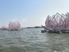 -溱湖国家湿地公园