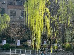 -莲湖公园