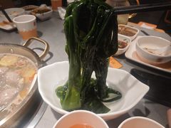 -潮发潮汕牛肉店(东方宝泰店)