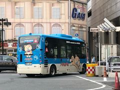 -东京塔海贼王主题公园