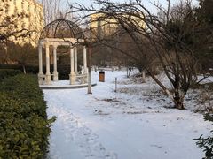 -首都师范大学科德学院