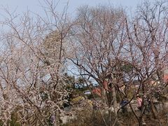 -郭守敬纪念馆