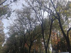 -后襄河公园