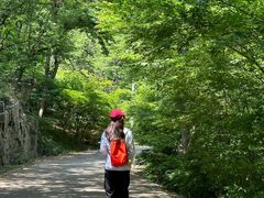 -紫金山山顶公园