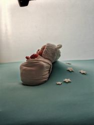 -玛瑞莎专业孕妇摄影(越秀店)