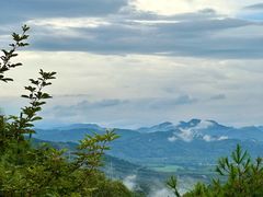 -广州白江湖森林公园