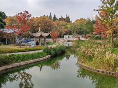 -中山公园
