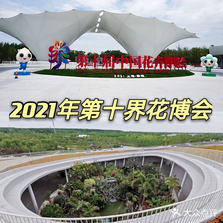 2021年第十届花博会在上海开幕啦❗❗