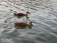 -西湖天地