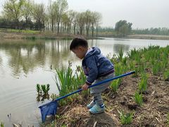-东郊湿地公园