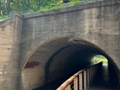 -白水寺森林公园