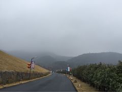 picture-南京汤山紫清湖生态旅游温泉度假区