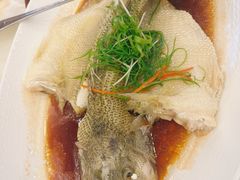 -渔意楼·驰名沙田乳鸽(五羊店)