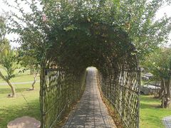 -南通洲际绿博园