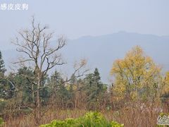 -塔川景区