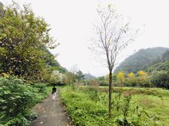 -黄金沟旅游风景区