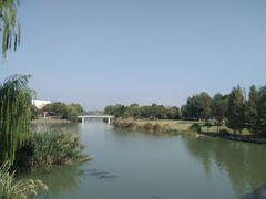 -九里河湿地公园