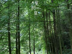 -龙窝子