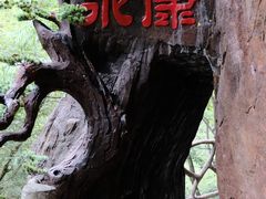 -浙北大峡谷