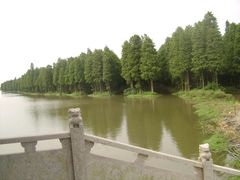 -溱湖国家湿地公园