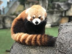 -安吉竹博园