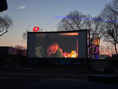 -枫花园汽车电影院(朝阳公园店)