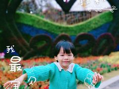 -东平国家森林公园