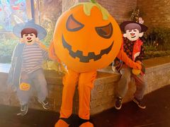 -郑州方特梦幻王国