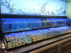 -透明思烤·自助烤肉海鲜火锅(东部星悦天地店)