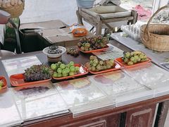 -马陆小张葡萄园农家乐