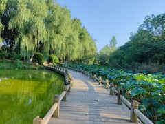 -西安浐灞国家湿地公园
