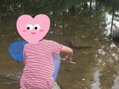 -苏州河梦清园环保主题公园