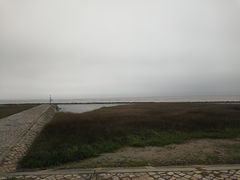 -南汇嘴观海公园